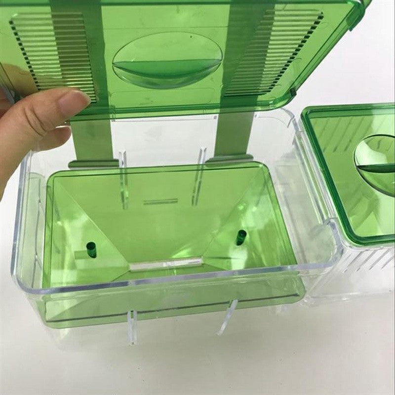 Hatching box guppy sick fish isolation box fighting fish