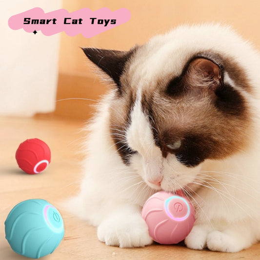  A playful cat engages with a colorful ball and a toy, showcasing the joy of interactive pet entertainment.