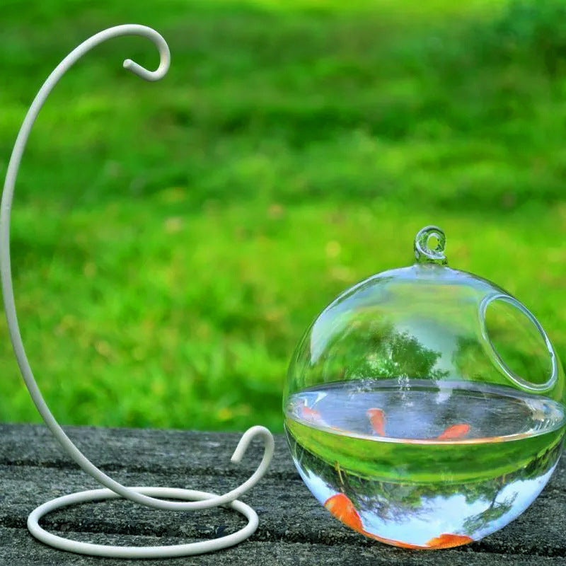 Hanging Glass Vase Fish Aquarium