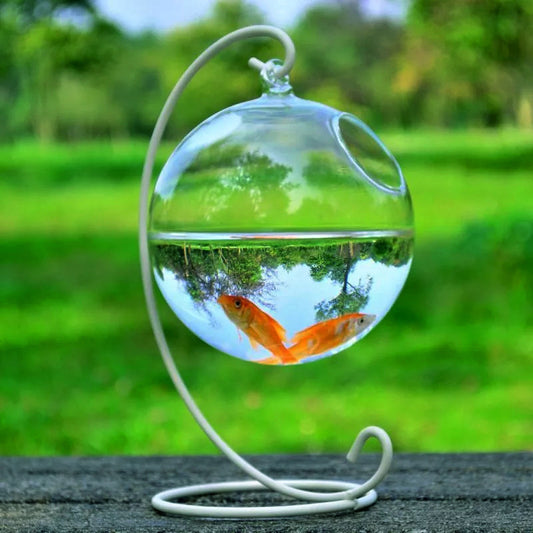 Hanging Glass Vase Fish Aquarium