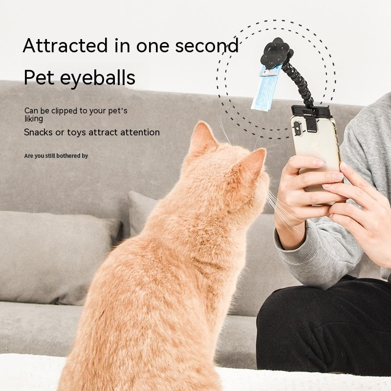 Mobile Phone Camera For Pet Photography