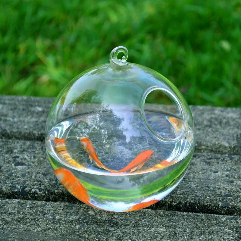 Hanging Glass Vase Fish Aquarium